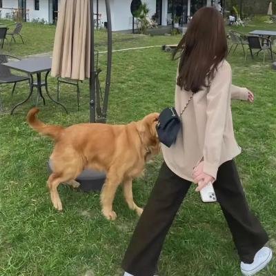 站在你的角度看我第二季 海报