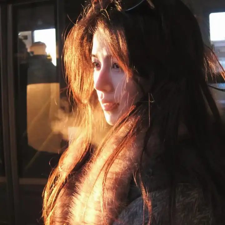 山狗 海报